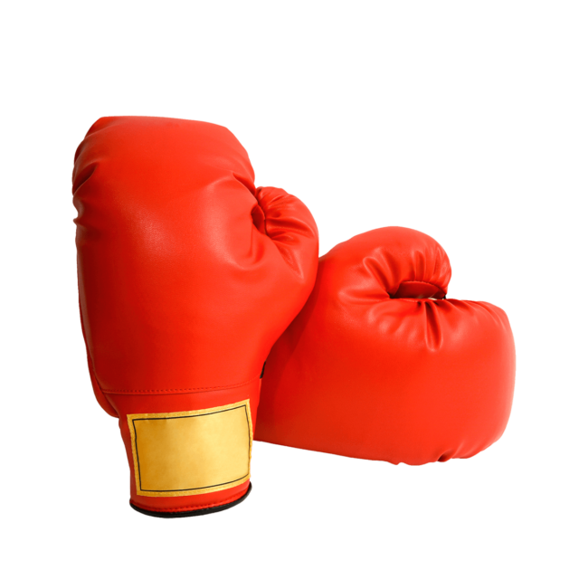 Boxing gloves - Saudi Netball